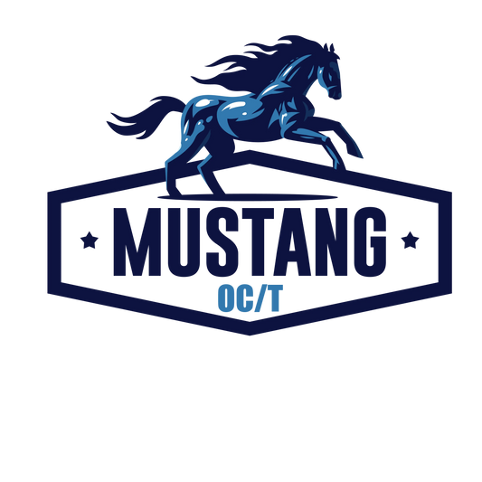 Mustang Sticker SNAFU Customs